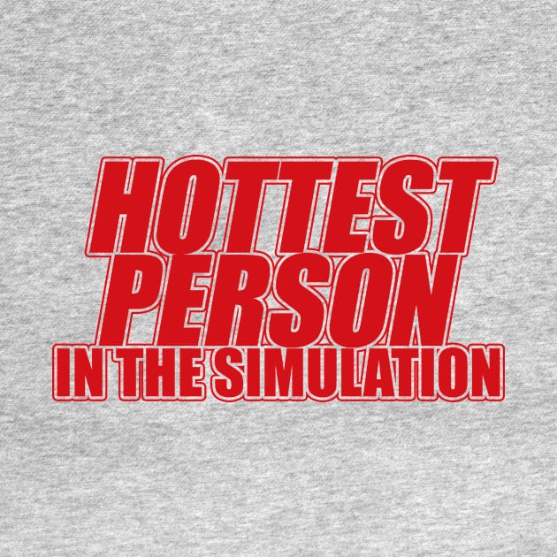 Hottest Person In The Simulation - Funny Y2kT-Shirts, Long-Sleeve, Hoodies or Sweatshirts by Y2KSZN